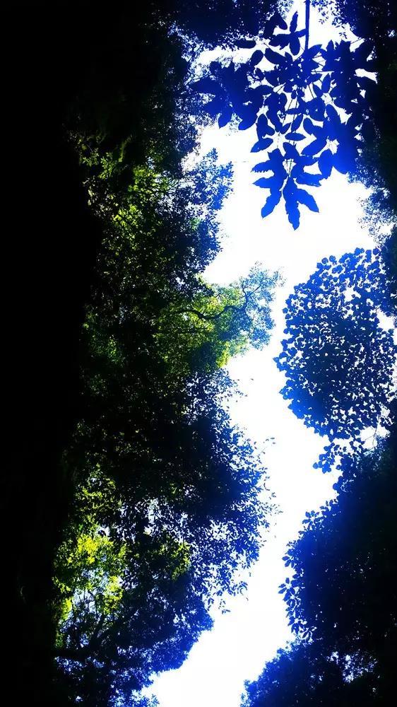你小时候挨过最毒的打是因为什么?知识问答网 - 精彩解答一网打尽